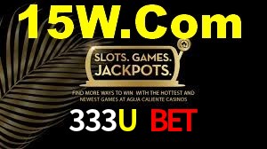 Premium Interface 333U Bet